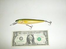 Body salmo floating for sale  Lake Delton