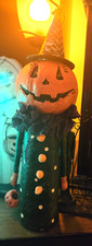 hat pumpkin for sale hat pumpkin for sale Downers Grove