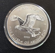 2014 canada bald d'occasion  Expédié en Belgium