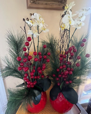 Christmas orchid pine for sale  Easley