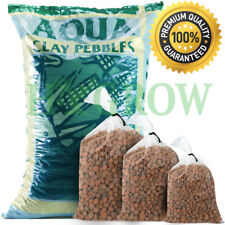 Canna aqua clay for sale  HULL