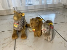 Steiff kamel cosy gebraucht kaufen  Peine