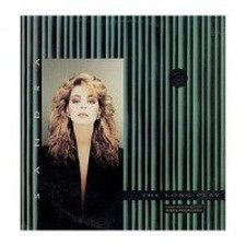 Sandra | LP | Long play (1985) comprar usado  Enviando para Brazil