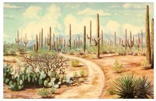 Desert lure cactus for sale  Indianapolis