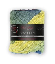 Pro lana ideen gebraucht kaufen  Hof