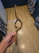Driftwood natural freshwater for sale  Omro