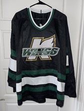 Kalamazoo wings ihl for sale  Butler