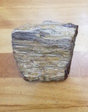 Petrified wood 1.10 for sale  Los Angeles