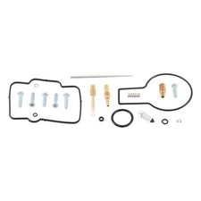 Balls carburetor rebuild for sale  Circle Pines