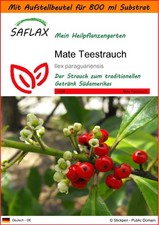 Saflax garden the gebraucht kaufen  Münster