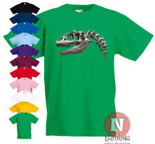 Dinosaur rex skeleton for sale  RUSHDEN