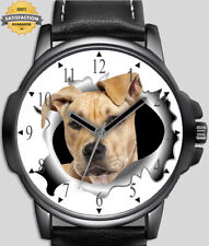 Staffie staffordshire terrier d'occasion  Expédié en Belgium