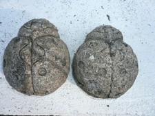 Pair weathered wornladybugs for sale  Carmi