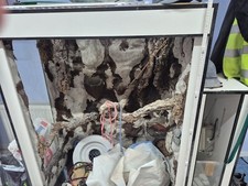Terrarium einrichtung rückwan gebraucht kaufen  Sulzbach a.Main