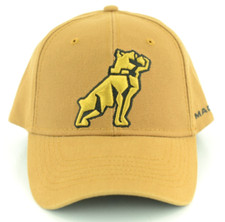 Mack truck mustard for sale  Akron