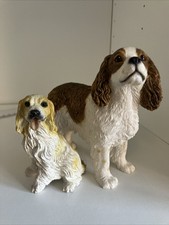 Cavalier king charles for sale  BIRMINGHAM