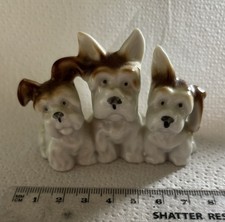 West highland terrier for sale  HALIFAX