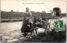 Sologne attelage chien d'occasion  France
