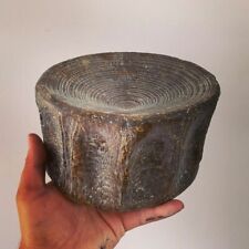 Fossile réplique vertebre d'occasion  Aiglun