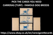 Carreras famous dog for sale  TAMWORTH