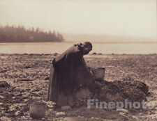1900 edward curtis for sale  Tampa