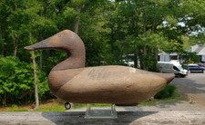1890 1900 canvasback for sale  Southampton