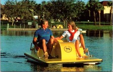 Vintage sheraton lakeside for sale  Fleming Island