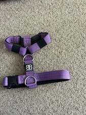 Bully billows training for sale  CREWE