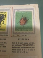 Figurina n.6 francobolli usato  Firenze