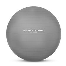 Silver exercise ball for sale  GLASGOW