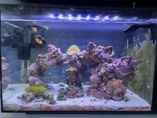 Fluval sea evo for sale  North Bergen