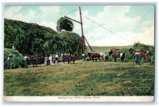 C1920 making hay for sale  Terre Haute