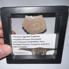 Framed titanosaur dinosaur for sale  Sun City Center