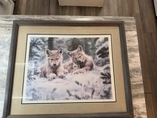 Maija wolf puppies for sale  Milwaukee