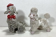 spaghetti poodle for sale spaghetti poodle for sale New York