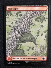 Carte magic terrain d'occasion  Staffelfelden