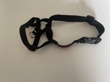 Halti black dog for sale  MATLOCK
