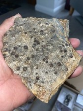 Garnet crystals schist for sale  STALYBRIDGE