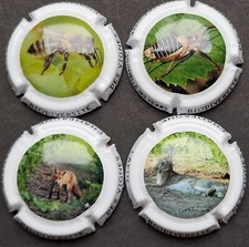 Lot capsules générique d'occasion  Veneux-les-Sablons