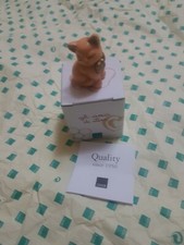 Meraviglioso gattino della usato  Trabia