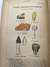 Atlas champignons comestibles d'occasion  Rodez