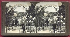 Stereo photo.kroll garden. d'occasion  Expédié en Belgium