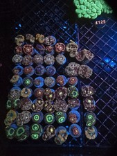 Mystery acanlord box for sale  UK