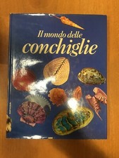 Delle conchiglie donato usato  L Aquila