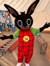 Mascotte bing usato  Sonnino