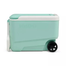 Igloo wheelie cans for sale  Haltom City