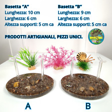 Basetta espositiva con usato  Magenta