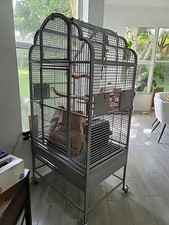 Grey parrot cage for sale  Hollywood