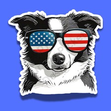 Patriotic border collie for sale  Charlotte