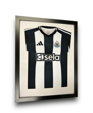 Frame signed football for sale  GATESHEAD